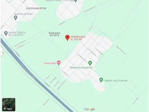 Las dalias y Potosi 1800