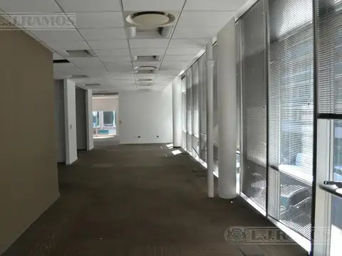 COSSETTINI OLGA  N°1553 -Piso  1