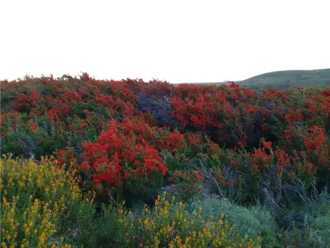 Terreno en Venta de 2551,0 m2