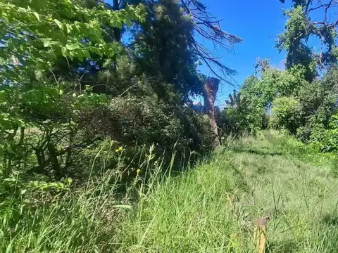 Campo en Alquiler de 0,56  ha