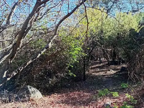 Terreno en venta - Luyaba