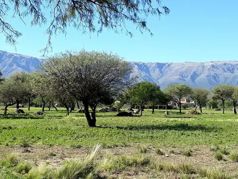 Terreno en Venta de 600,0 m2