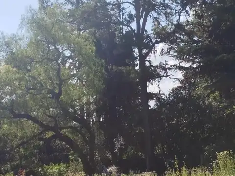 SE VENDE O PERMUTA LOTE EN LA CUMBRE BARRIO GOLF