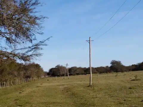 Campo en Venta de 462  ha