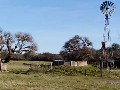 462 HECTAREAS GANADERAS