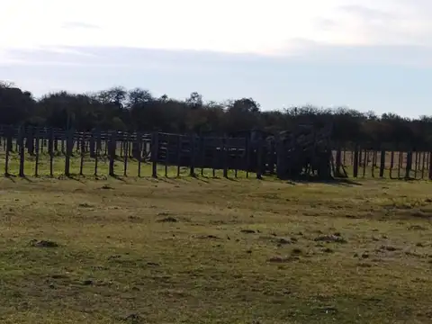 462 HECTAREAS GANADERAS