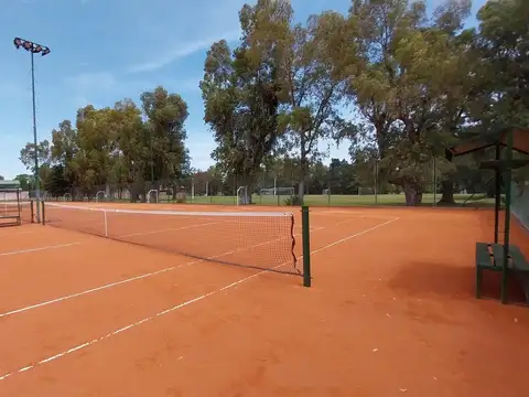 Amancio Alcorta 1100