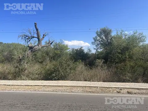 Parcela de 3500 metros cuadrados - Zona alta de Carpinteria