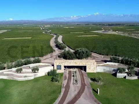 Excelente oportunidad: Terreno en Venta en Country vitivinícola DragonBack State- Inversión segura.