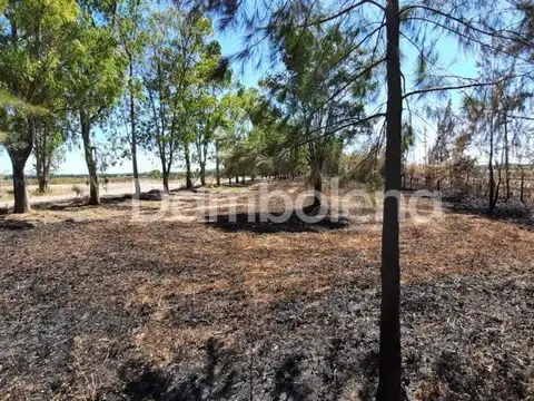 Terreno en Venta en Cañuelas, USD 500.000