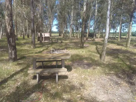 Au Ezeiza - Cañuelas 100