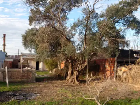 Terreno en Venta 70  mts Fondo