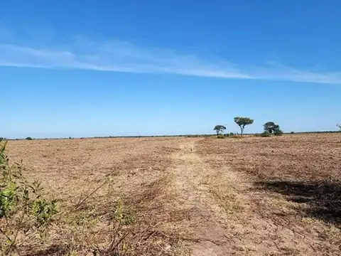 CAMPO 1075 HECTÁREAS LOS JURIES SANTIAGO DEL ESTERO