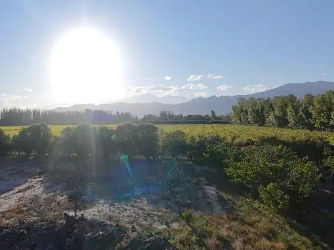 Lote en el Corazón de los Caminos del Vino - Oportunidad Única