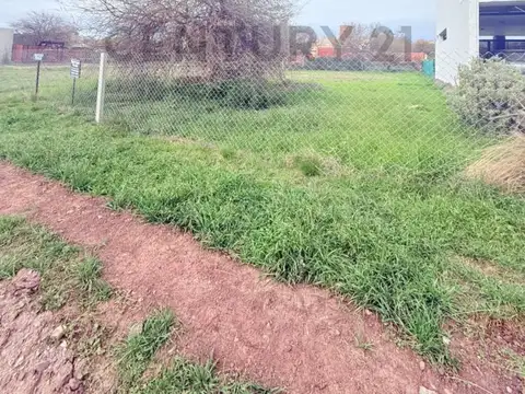 manzana 19 100, Piso 0