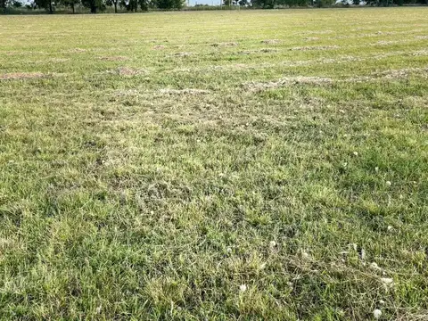 Gorriti 1000, El Espinillo