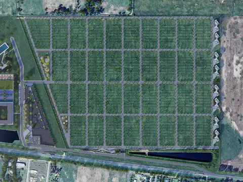 Terreno en Venta 30  mts Fondo