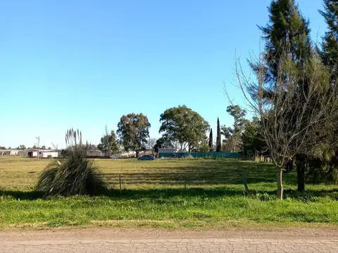 167 y 93-LOTES TOTALMENTE FINANCIADOS, Lisandro Olmos.