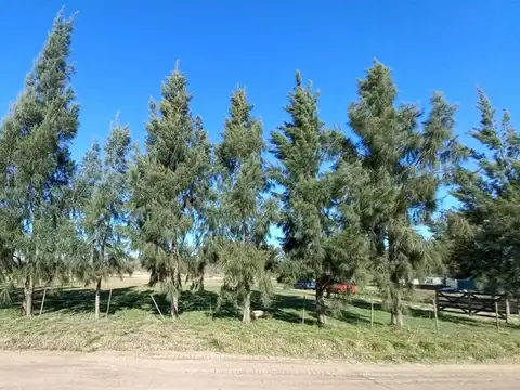 Terreno en Venta en Lisandro Olmos Etcheverry, USD 15.000