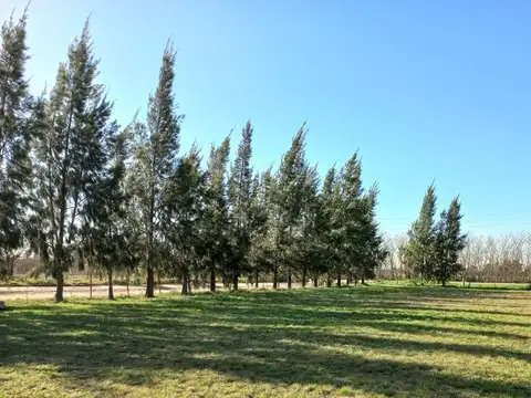 Terreno en Venta en Lisandro Olmos Etcheverry, USD 15.000