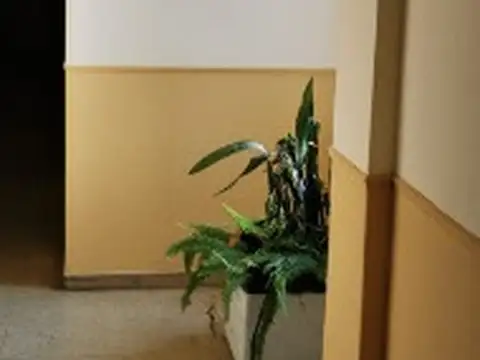 Oficina en Alquiler al Sur