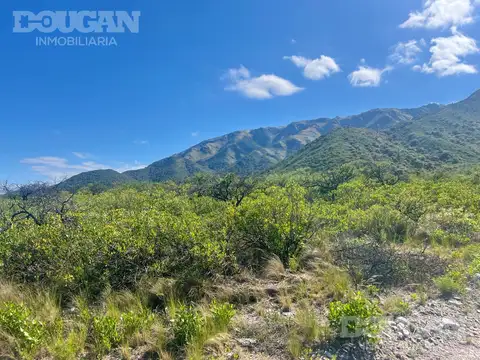 Terreno en Venta 50  mts Frente