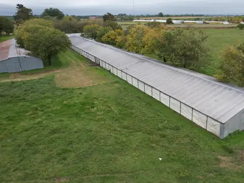 Granja Avícola Departamento Uruguay Entre Ríos