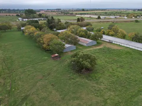 Granja Avícola Departamento Uruguay Entre Ríos