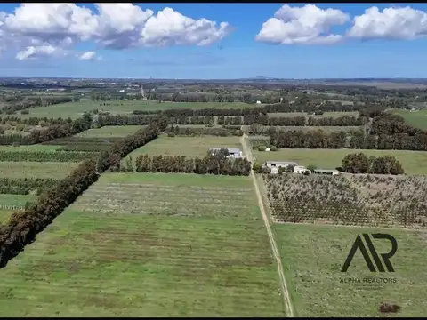 Campo en venta de 78m2 ubicado en Melilla