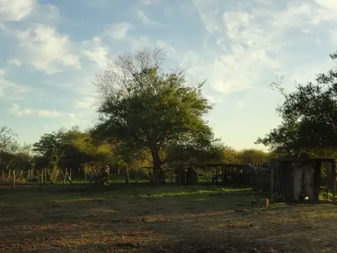 Campo en Venta de 500  ha