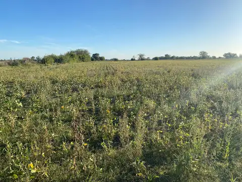 Campo de 11 hectáreas en la ciudad de Chacabuco