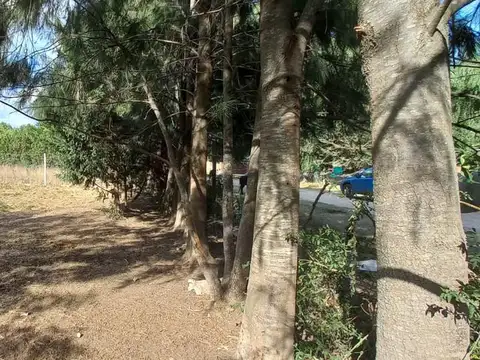 Terreno en  Cañuelas