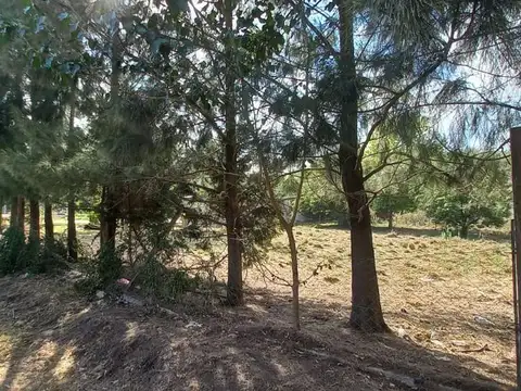 Malvinas y San Martin