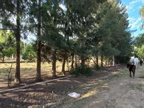 Terreno en Venta en Cañuelas, USD 25.000