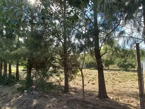 Terreno en Venta 40  mts Fondo