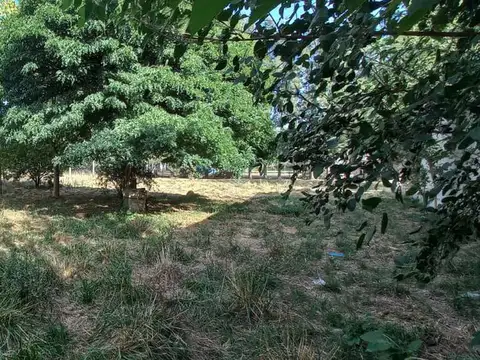 Terreno en Venta de 800,0 m2