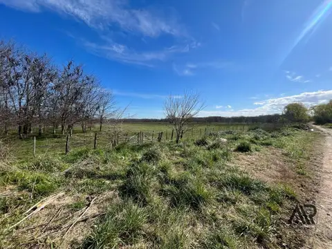 Campo en venta de 20m2 ubicado en Canelones