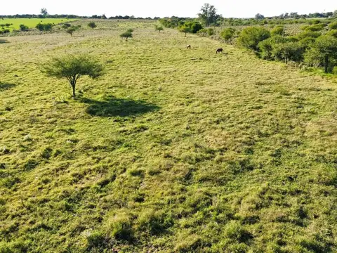 Terreno en Venta de 1,0 m2