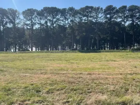 Terreno en Venta de 1600,0 m2