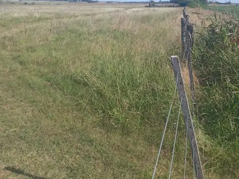 Campo en  Rio Tala San Pedro