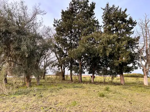 Campo en General Almada