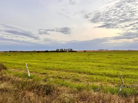Campo en General Almada