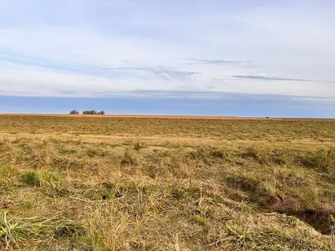 Campo en General Almada