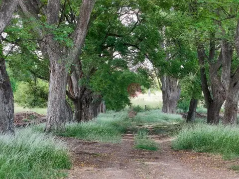 Terreno en Venta en Carabassa, USD 85.000