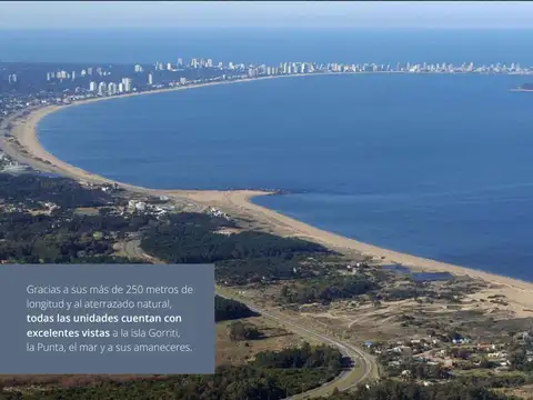 Carlos paez vilaró  al 100