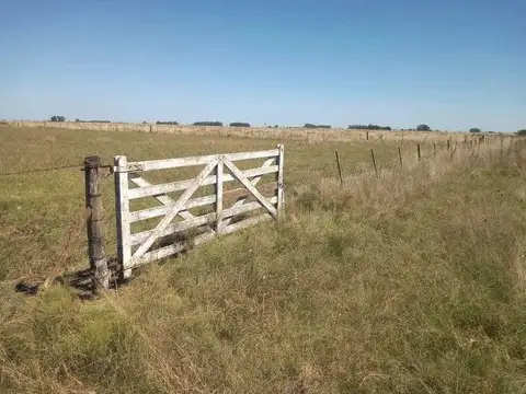 Campo en venta - 35 hectáreas - Agrícola - Ganadero - Magdalena