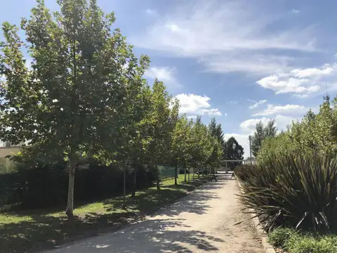 Terreno en Venta 24  mts Frente