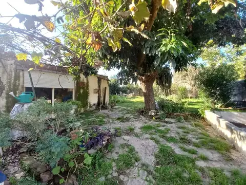 Casa en Alquiler al Noreste