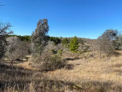 Oportunidad - Santa Monica - Zona la Olla - 8 Hectáreas con costa de Arroyo - U$S 280.000