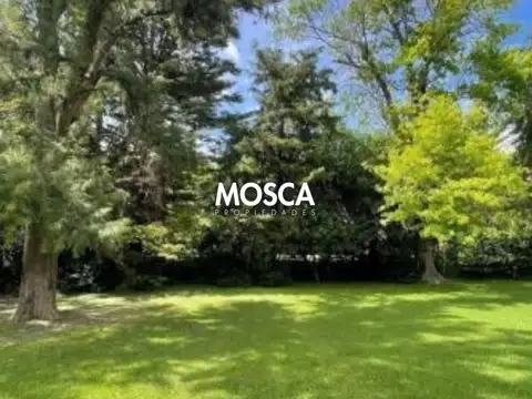 Terreno en Venta 20  mts Fondo